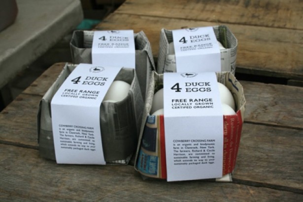 Oeufs emballés dans du papier journal